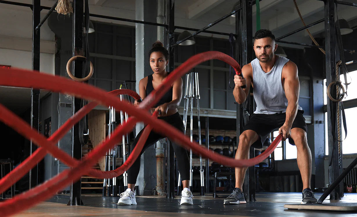 WHICH WHEY PROTEIN IS IDEAL FOR BEGINNERS?