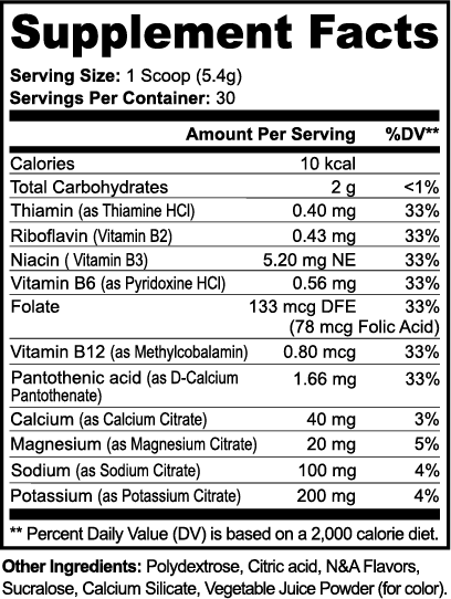 HydroBoost Matcha Green Tea Hydration Powder – Electrolyte Support | Warden Armor