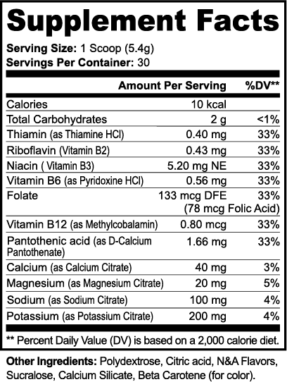 HydroBoost Electrolyte Hydration Powder (Peach Mango) – Daily Hydration Support | Warden Armor