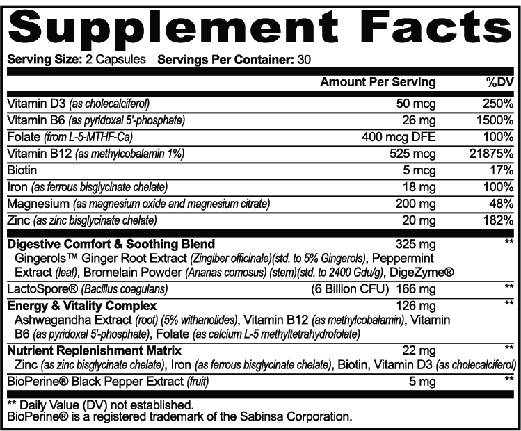 GLP-1 Nutrition Support – Digestive & Nutrient Replenishment | Probiotics, Enzymes, Methylated B12 & Magnesium | Warden Armor