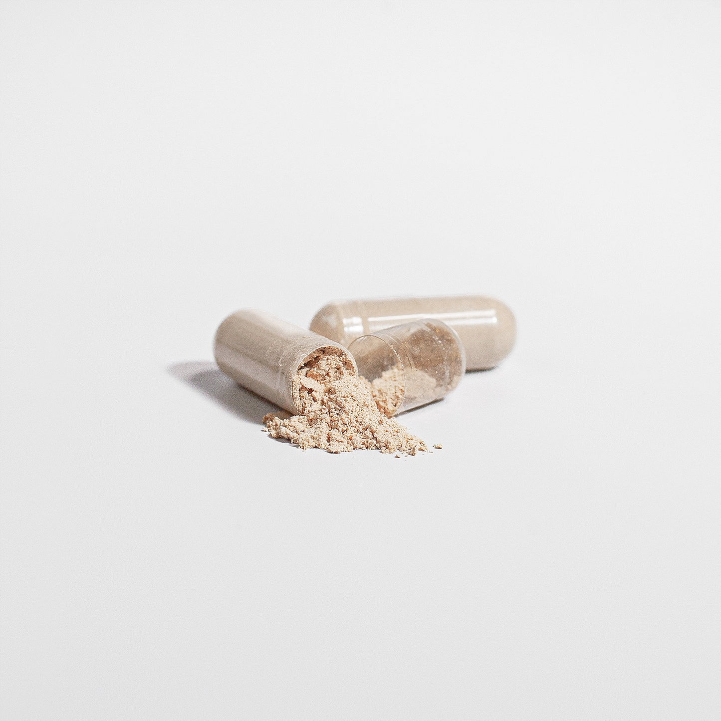 NeuroLion Lion's Mane Mushroom – Cognitive Wellness Support | Organic Nootropic Supplement | Warden Armor