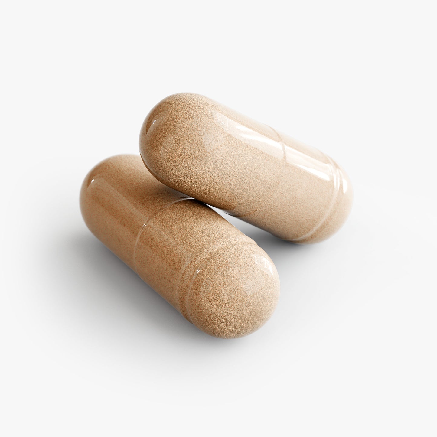 Adaptogen 10 I Premium 10 Mushroom Superfood Blend for Immunity, Energy & Cognitive Support | Warden Armor