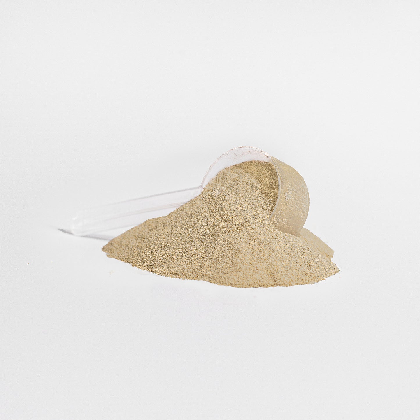 Lean-Pro Whey Protein Isolate (Vanilla) – 100% Pure Protein Powder | 25g Per Serving | Warden Armor