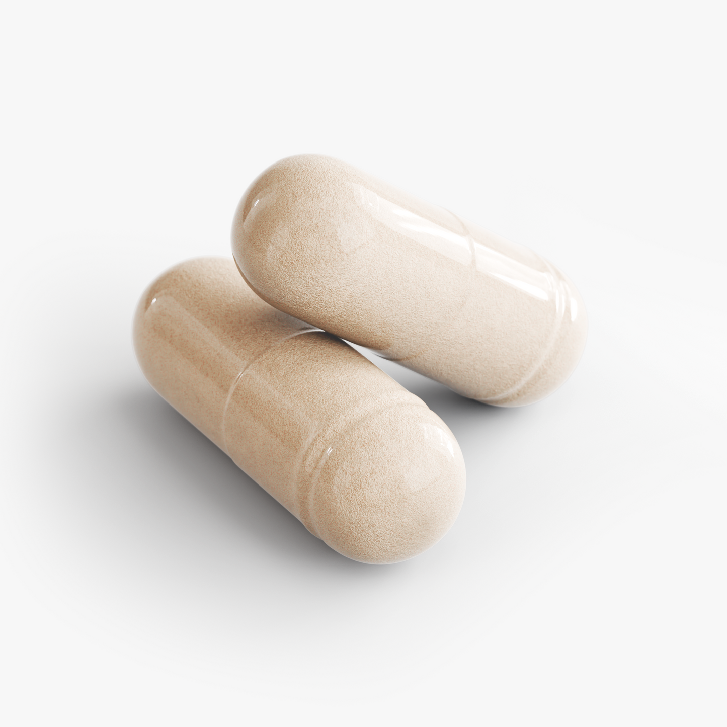 GLP-1 Nutrition Support – Digestive & Nutrient Replenishment | Probiotics, Enzymes, Methylated B12 & Magnesium | Warden Armor