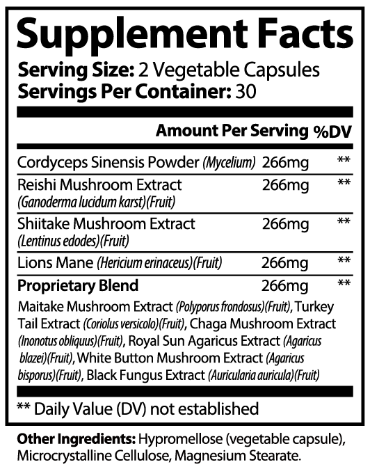 Adaptogen 10 I Premium 10 Mushroom Superfood Blend for Immunity, Energy & Cognitive Support | Warden Armor