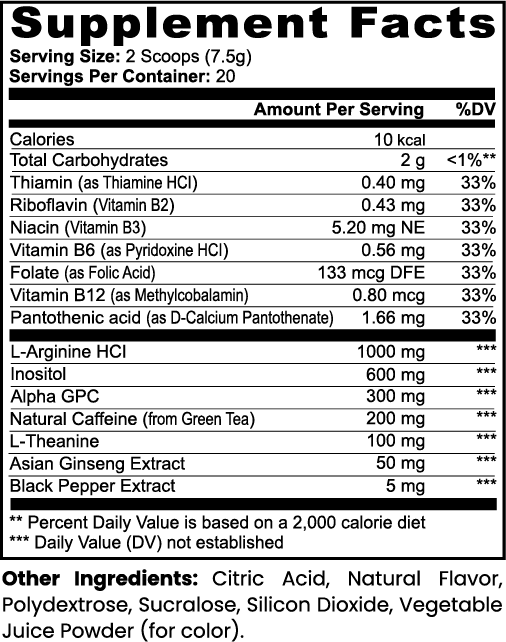 FocusCharge Powder (Sour Grape) – Mental Clarity & Energy Support | Alpha-GPC + L-Theanine | Warden Armor